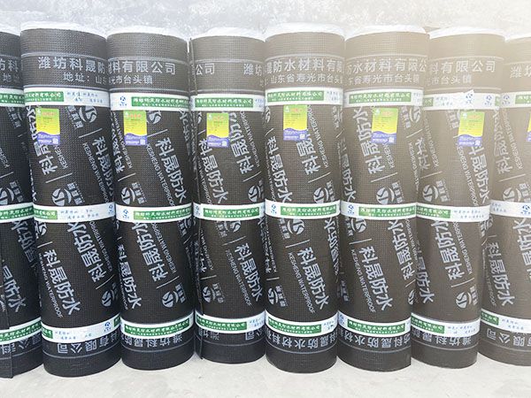 SBS弹性体改性沥青防水卷材